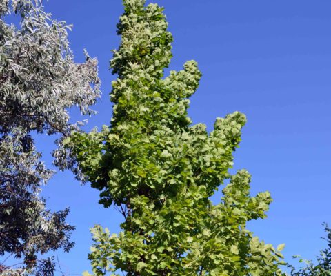 2r-1-e1519111407454